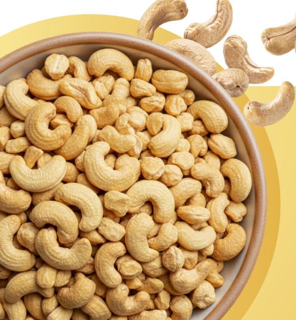 Cashew nut kernels